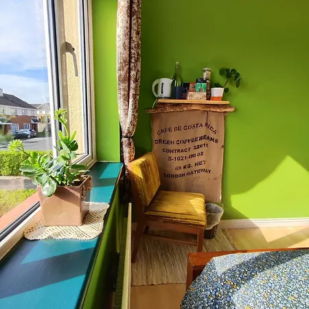 The Green Room Homestay Galway Extérieur photo