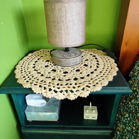 The Green Room Homestay Galway Extérieur photo