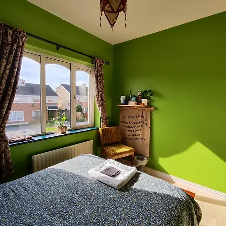 The Green Room Homestay Galway Extérieur photo